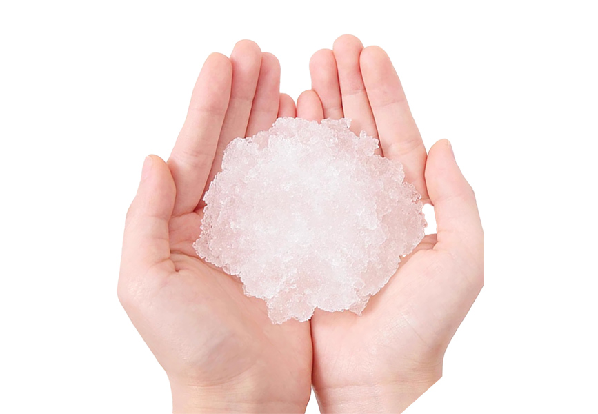 सैप अवशोषक कोर