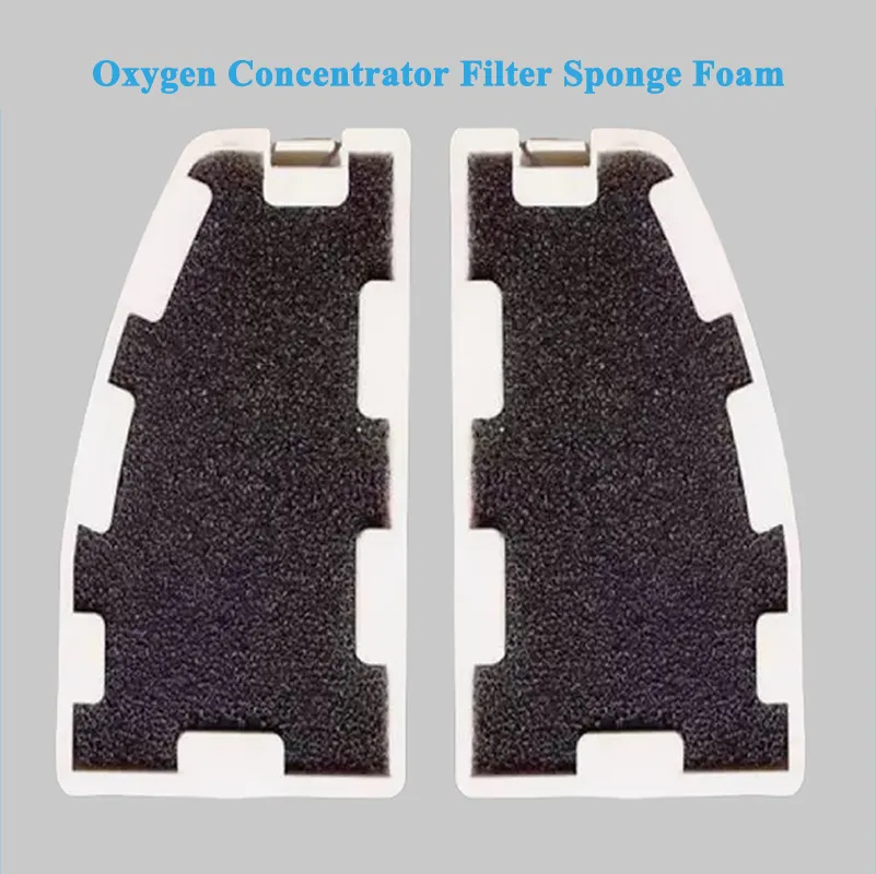 ऑक्सीजन संकेंद्रक का फिल्टर
