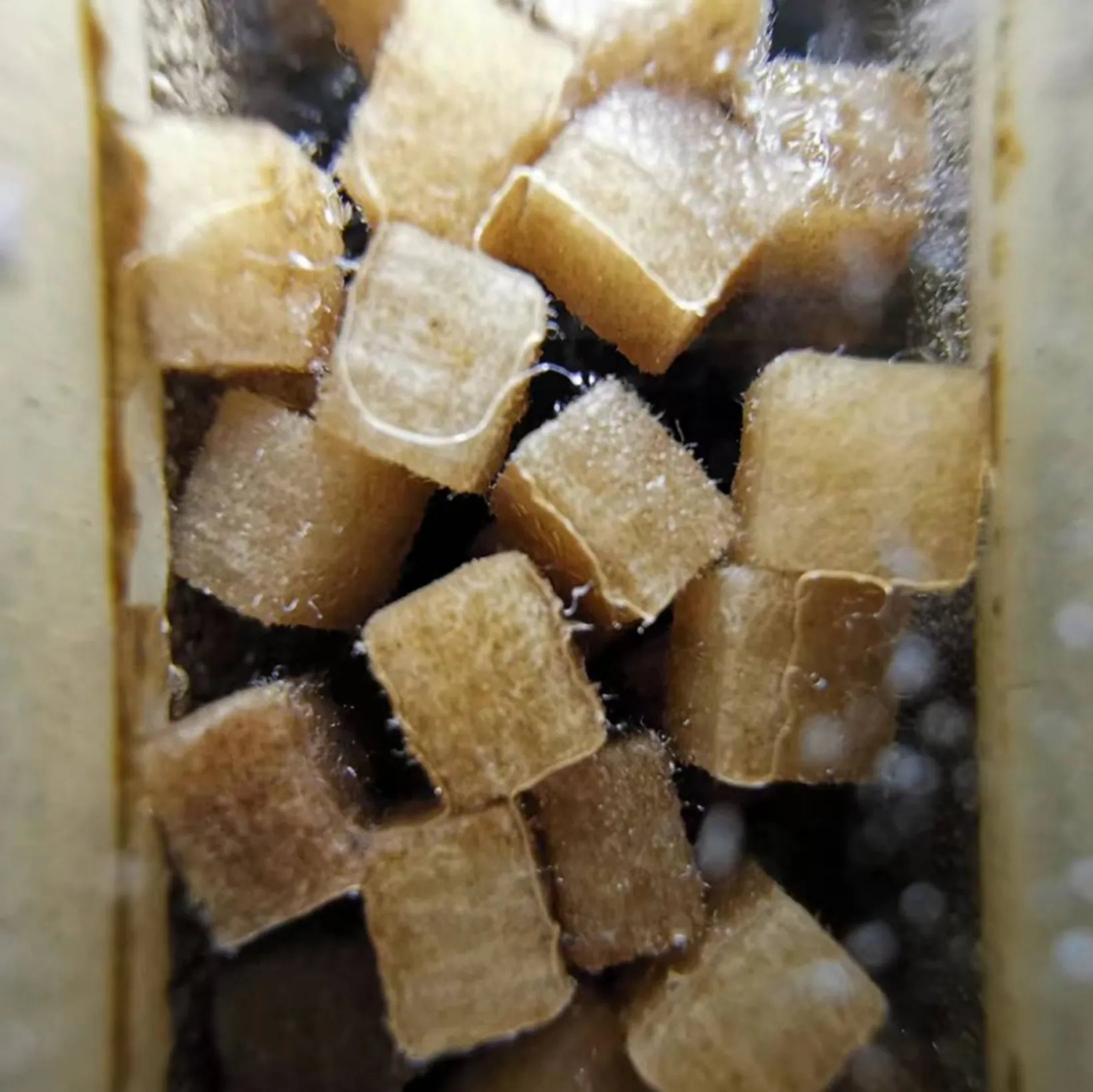 P670 निलंबित कणों के लिए कपास फ़िल्टर