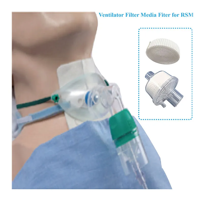 ऑक्सीजन संकेंद्रक का फिल्टर
